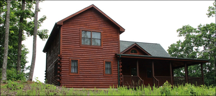 Professional Log Home Borate Application  Ridgeville Corners, Ohio